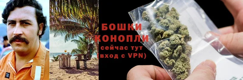 Бошки Шишки SATIVA & INDICA  где купить наркотик  Коломна 